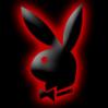 ������ ������� cRiMiNaL NeT
