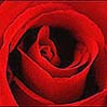 ������ ������� %REDROSCE%
