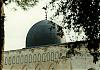 ������ ������� mojahed