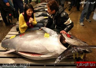 صور أكبر سوق سمك في العالم 120326150001HFxA