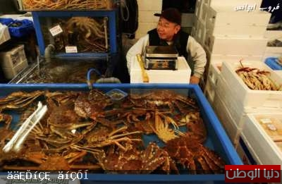 صور أكبر سوق سمك في العالم 120326150002v7bh
